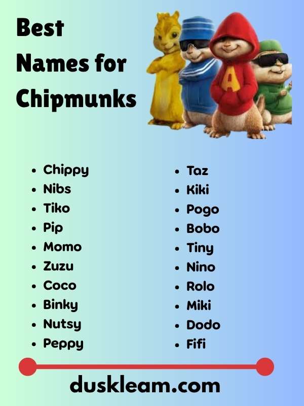 Best Names for Chipmunks