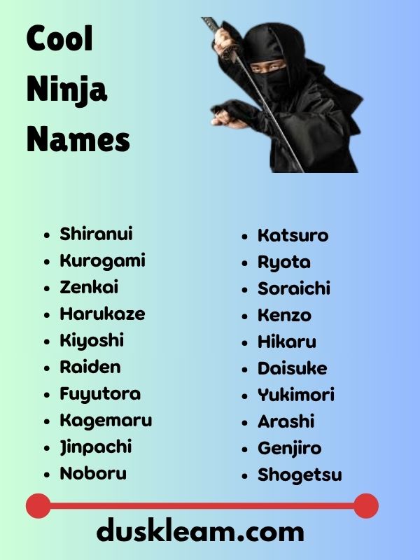 Cool Ninja Names