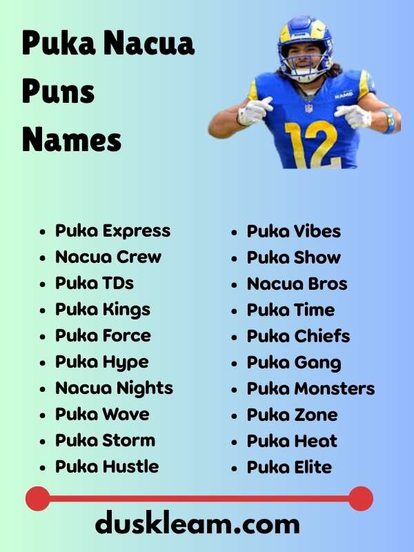 Puka Nacua Puns Names
