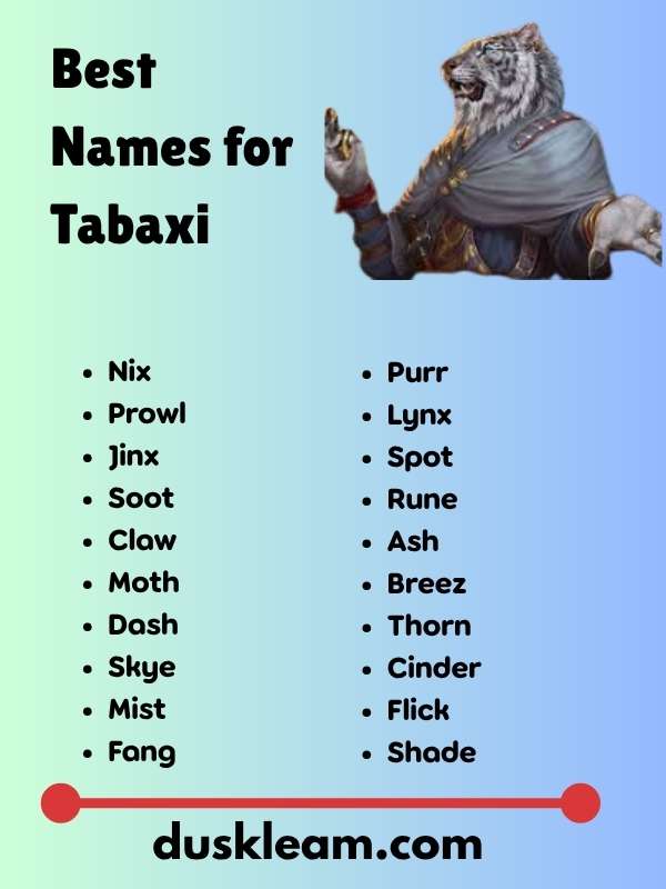Best Names for Tabaxi