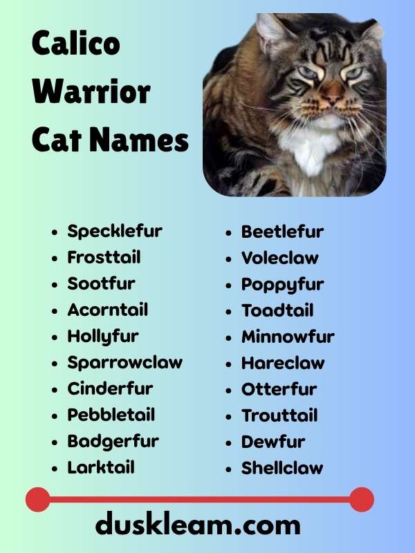 Calico Warrior Cat Names