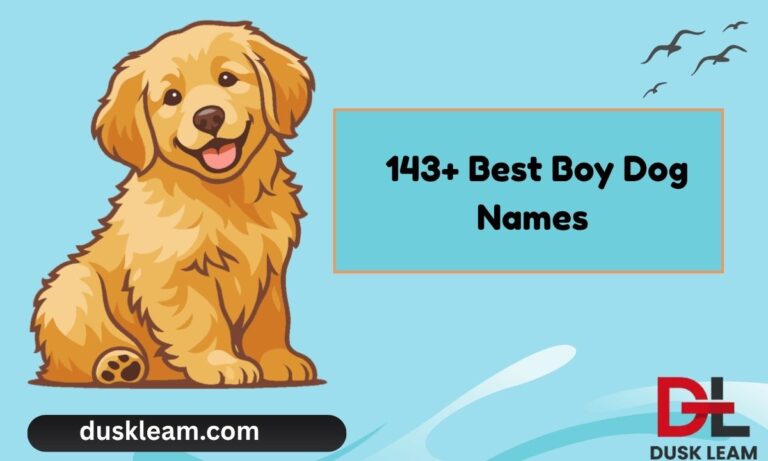 143+ Best Boy Dog Names to Find the Perfect Name for Your Pup