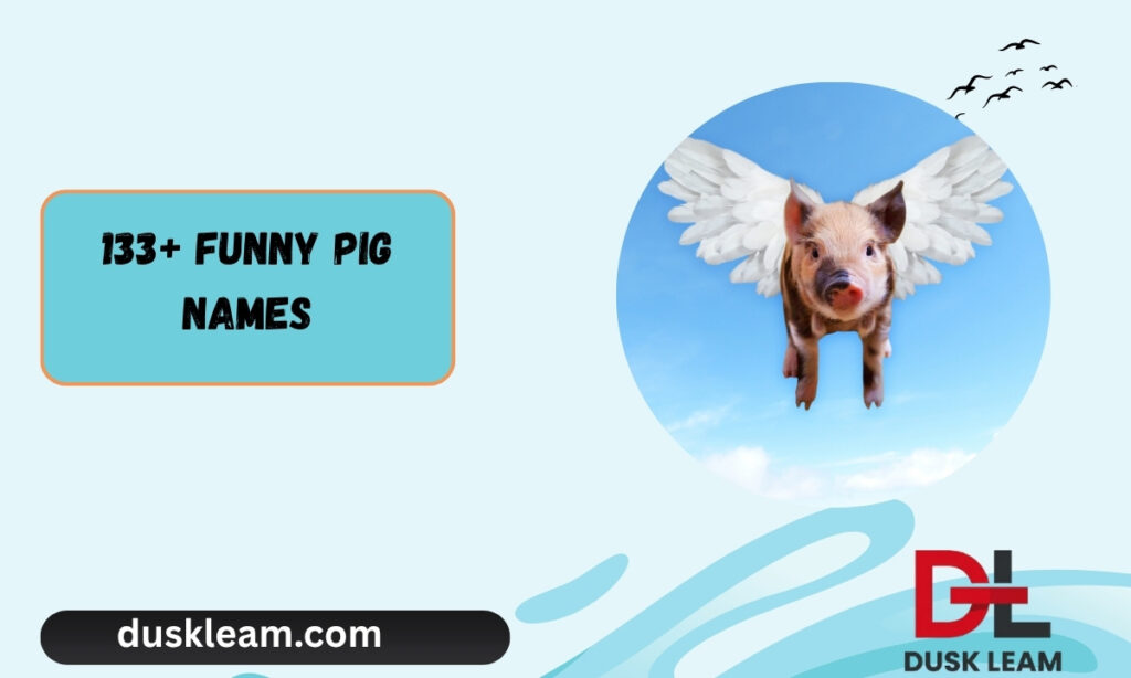 133+ Funny Pig Names