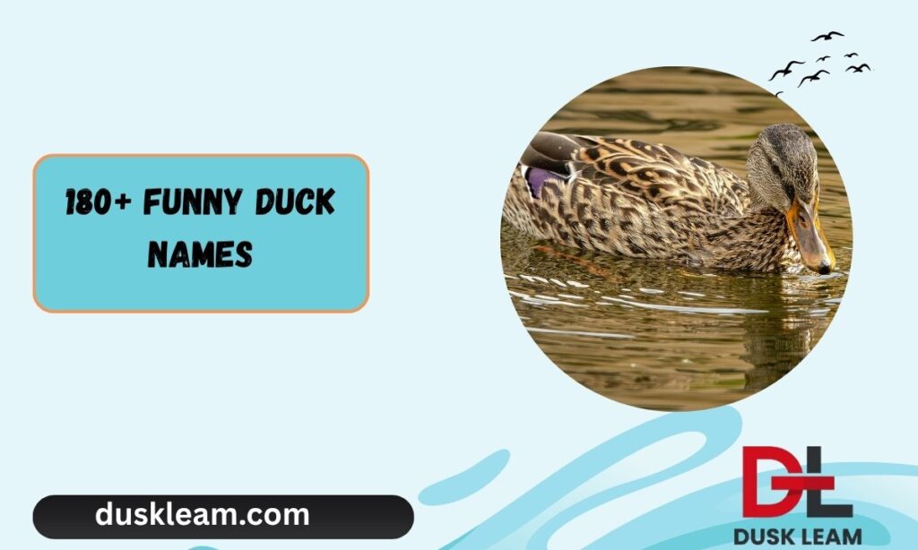 180+ Funny Duck Names