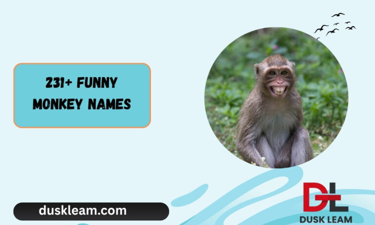 231+ Funny Monkey Names