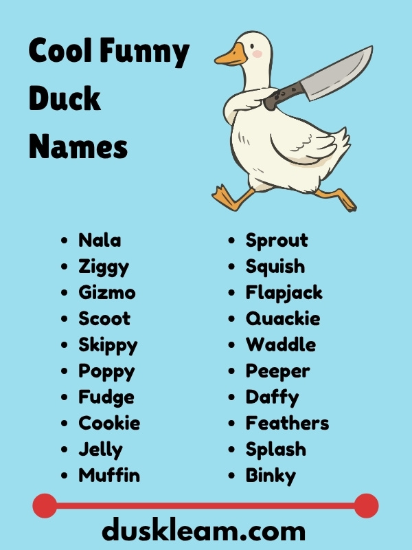 Cool Funny Duck Names
