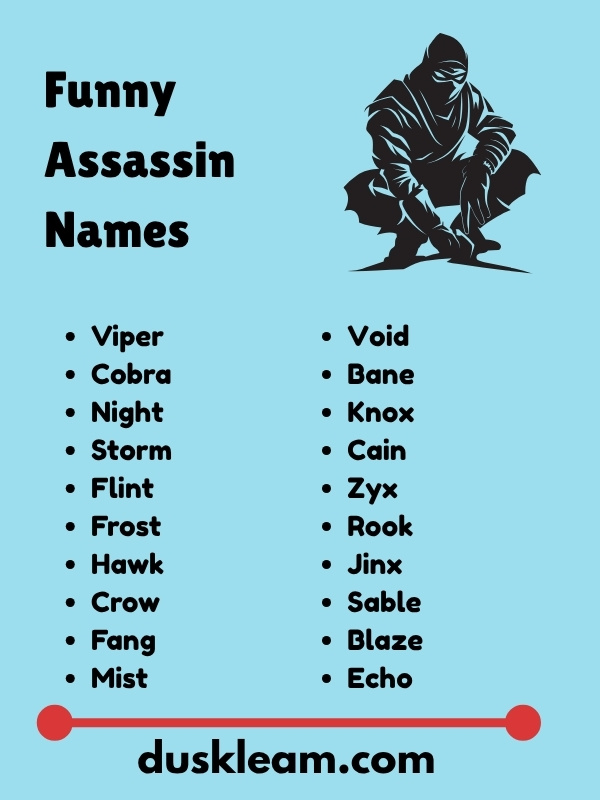 Funny Assassin Names