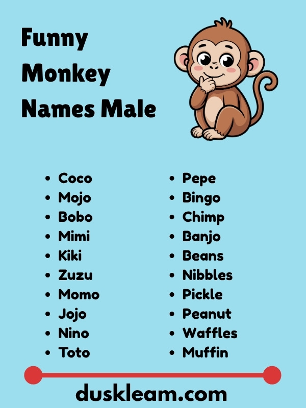 Funny Monkey Names Male