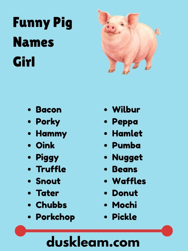 Funny Pig Names Girl